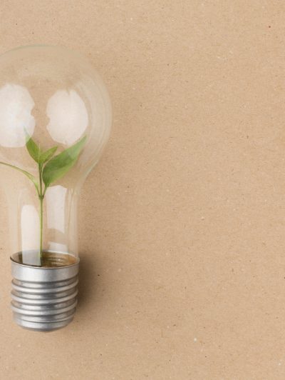 Resilience in a Fragile Global Economy