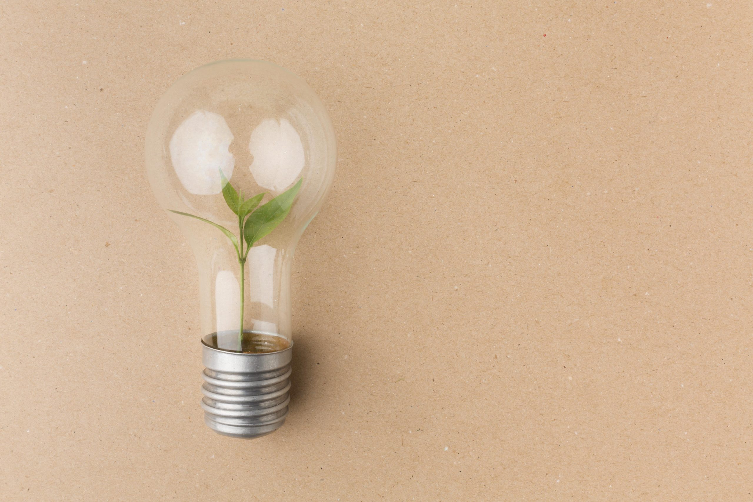 Resilience in a Fragile Global Economy