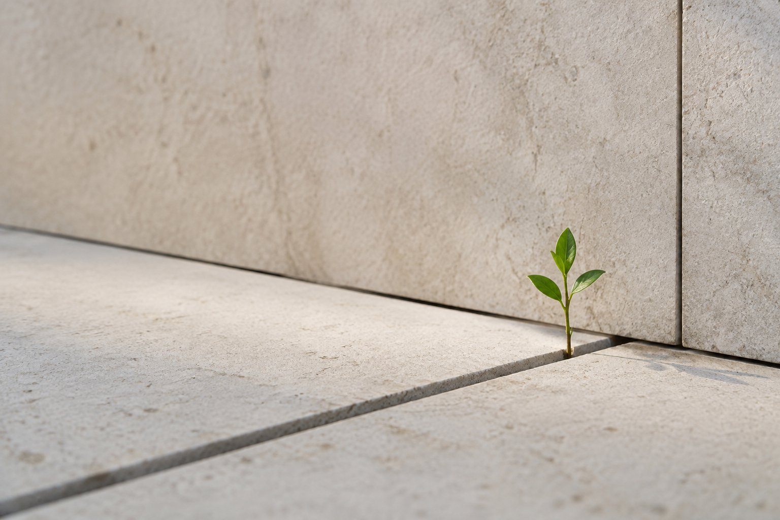 The Cracks Beneath Progress